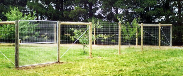 dog fencing