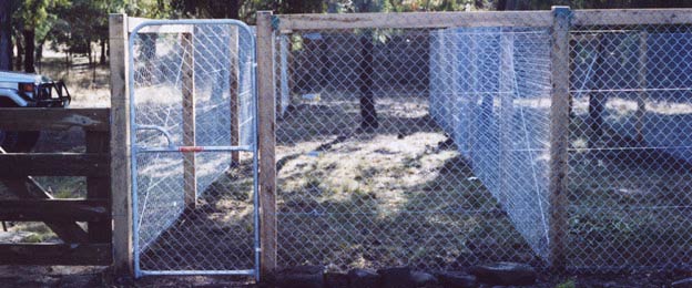 dog fencing