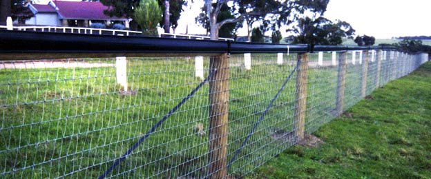 horse fencing