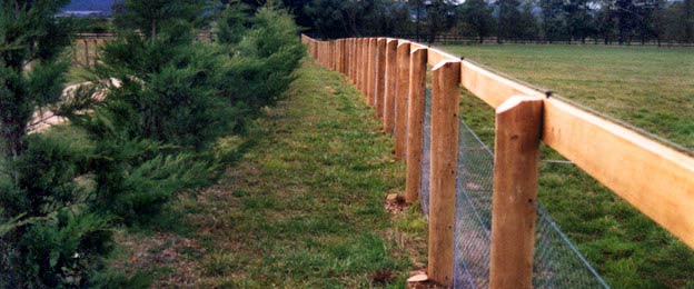 horse fencing