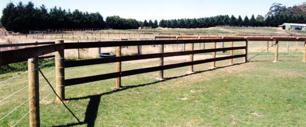 horse fencing