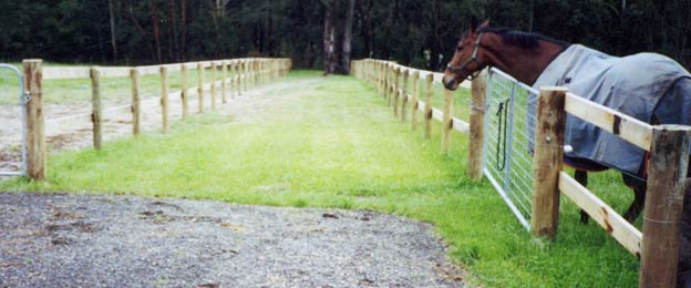 horse fencing