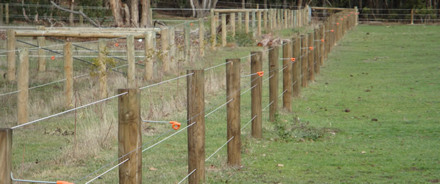 horse fencing