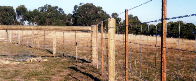 Post & Wire Fencing