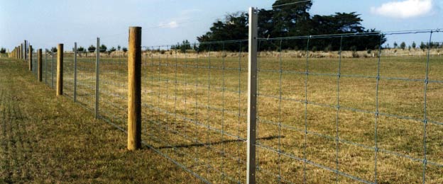 Post & Wire Fencing