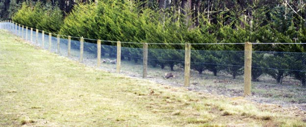 Post & Wire Fencing