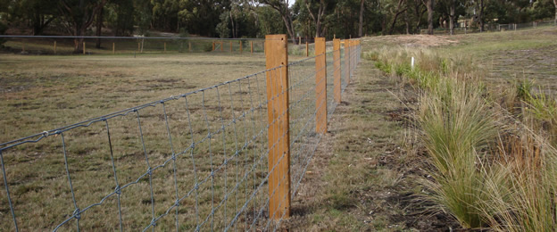 Post & Wire Fencing