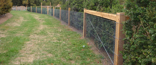 Post & Wire Fencing