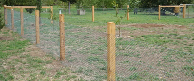 Post & Wire Fencing